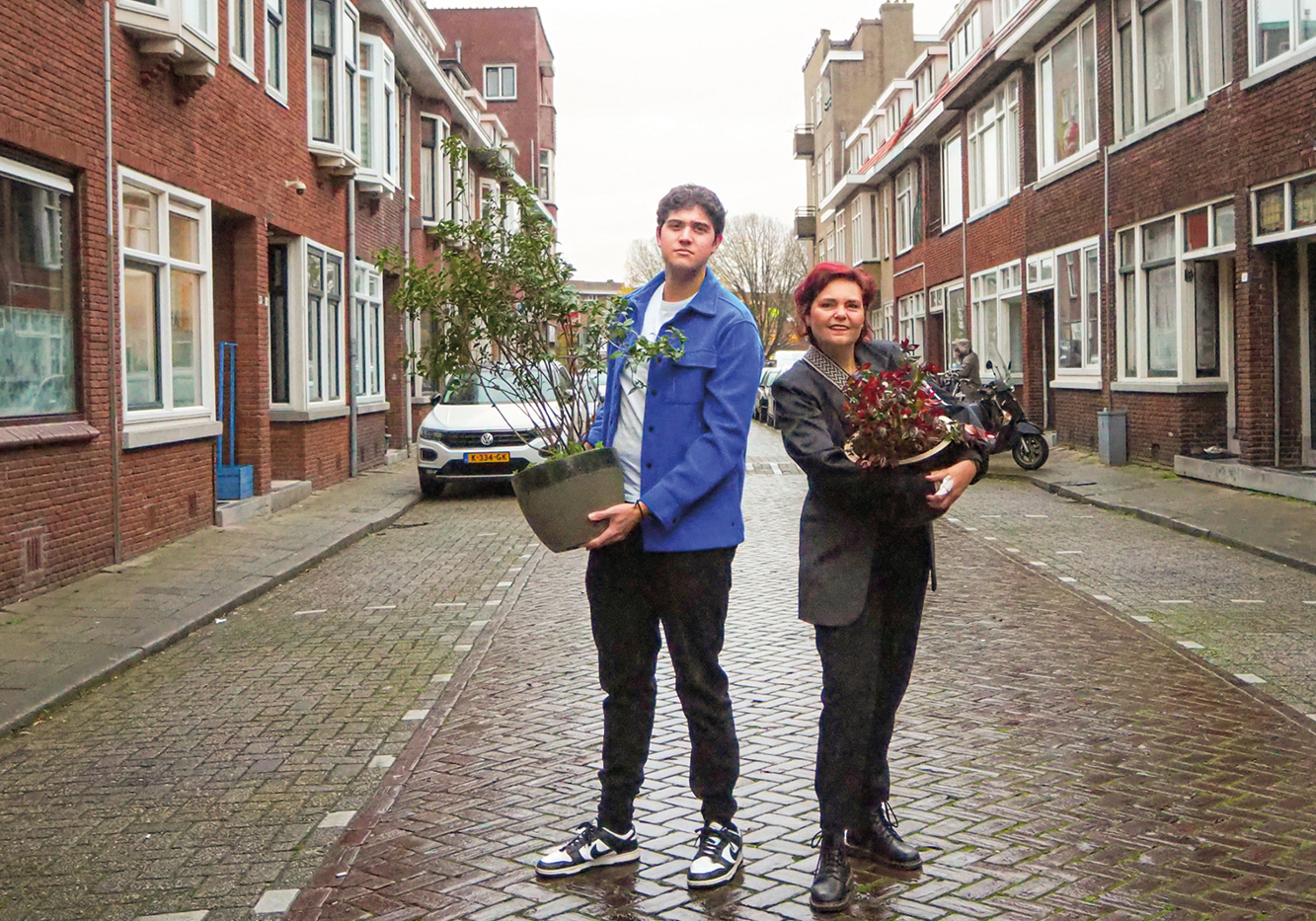 Vergroening Boylestraat