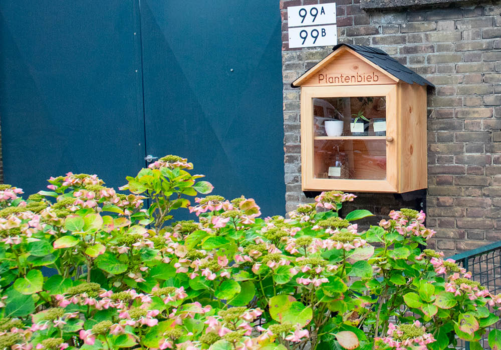 De plantenbieb van Morten